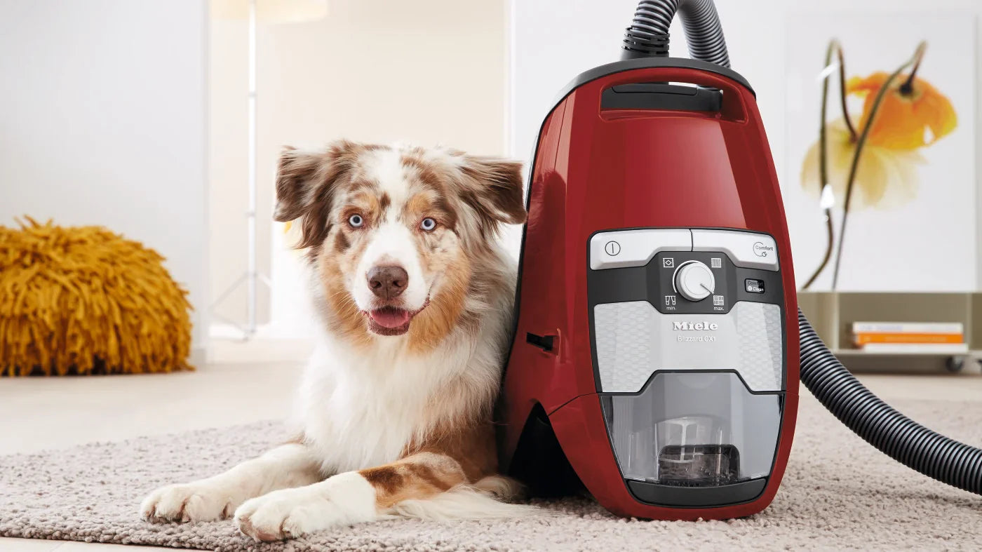 Miele Canister Vacuum Cleaners