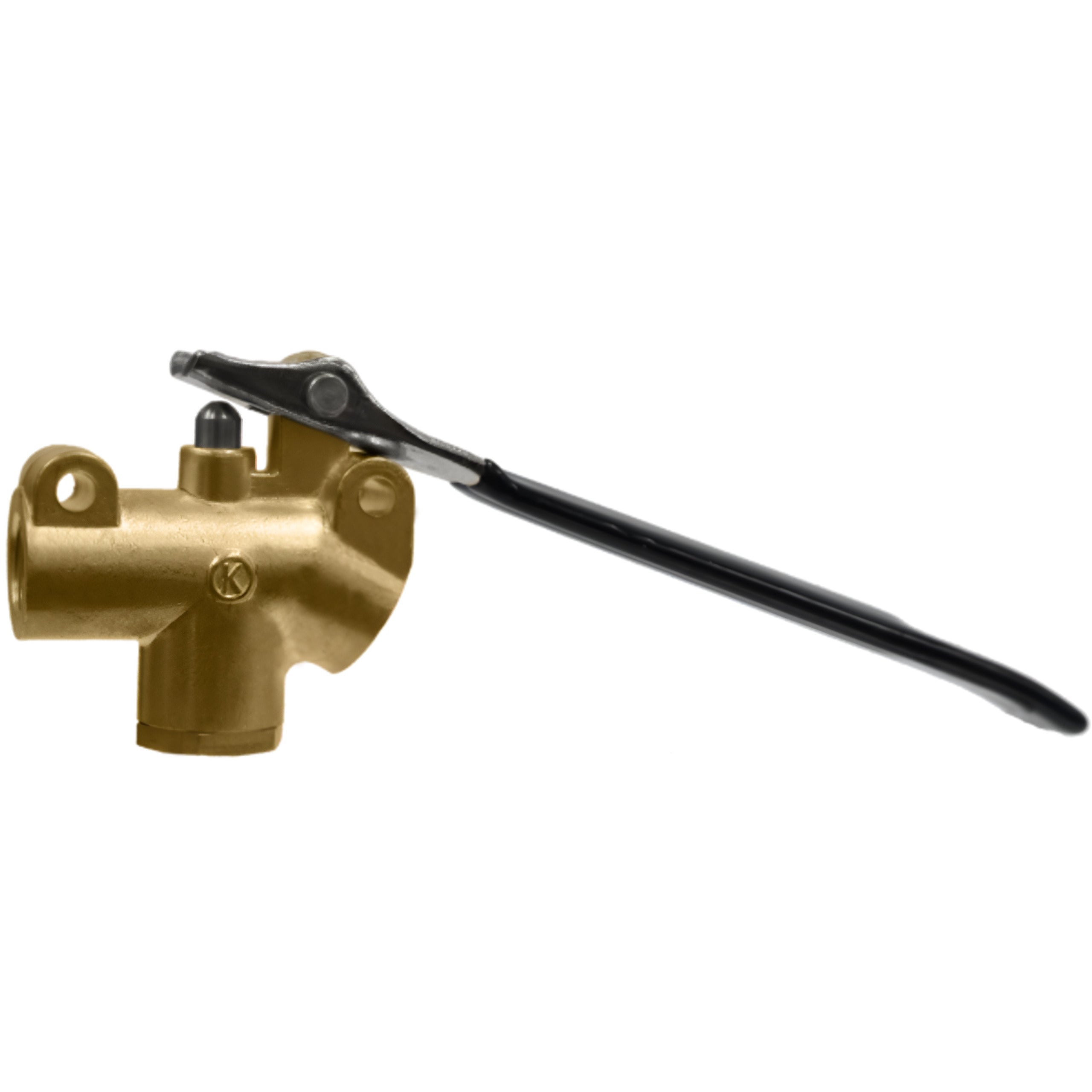 Esteam K Valve 1200 PSI image 0