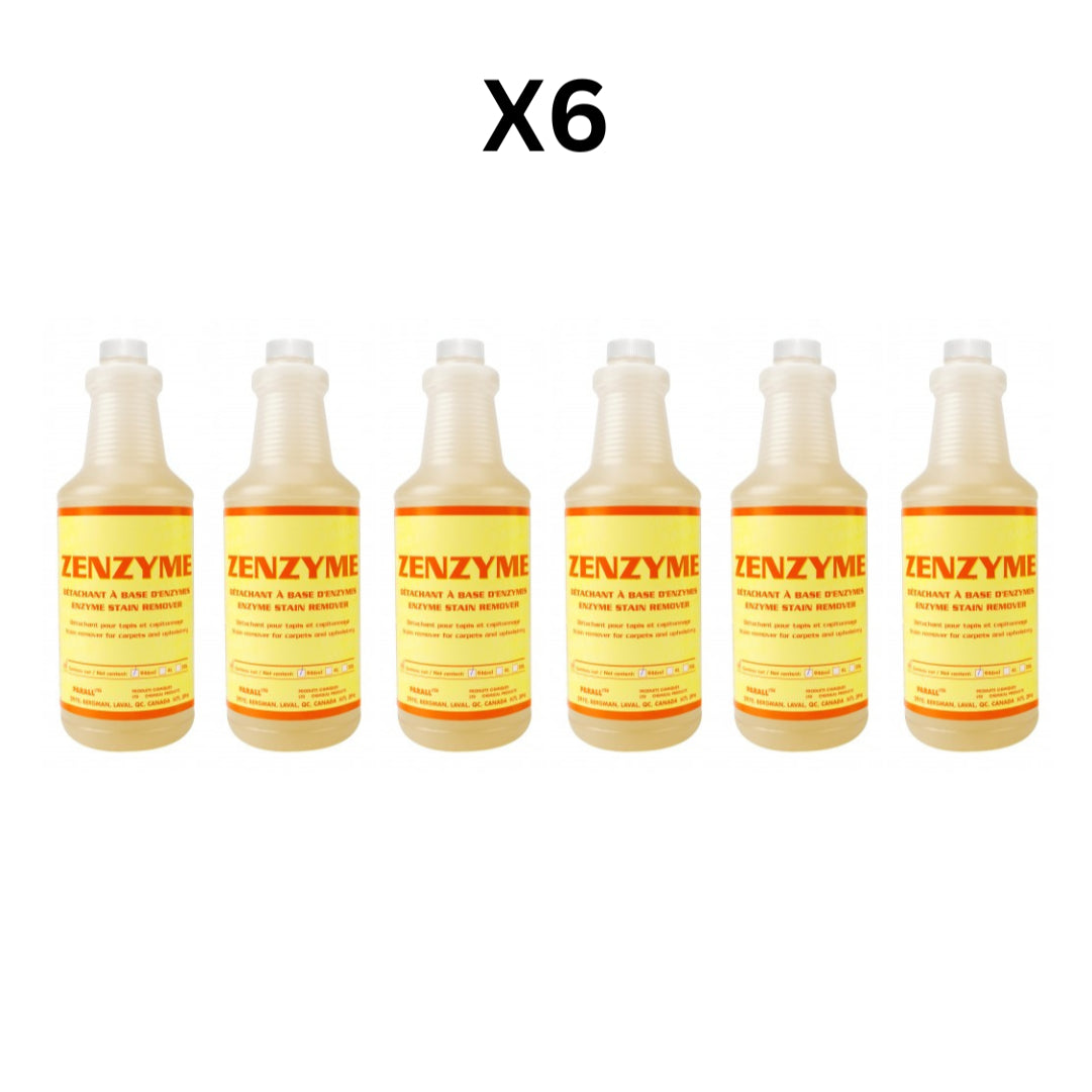 Enzyme Stain Remover, For Carpets And Upholstery - Pack Of 6 image 0