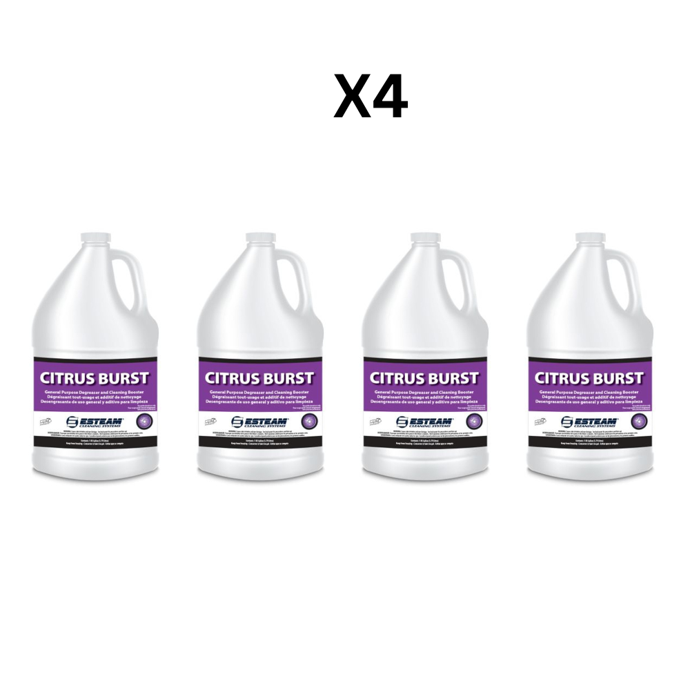 Esteam Citrus Burst Cleaner (3.78 Lt) - Pack Of 4 image 0