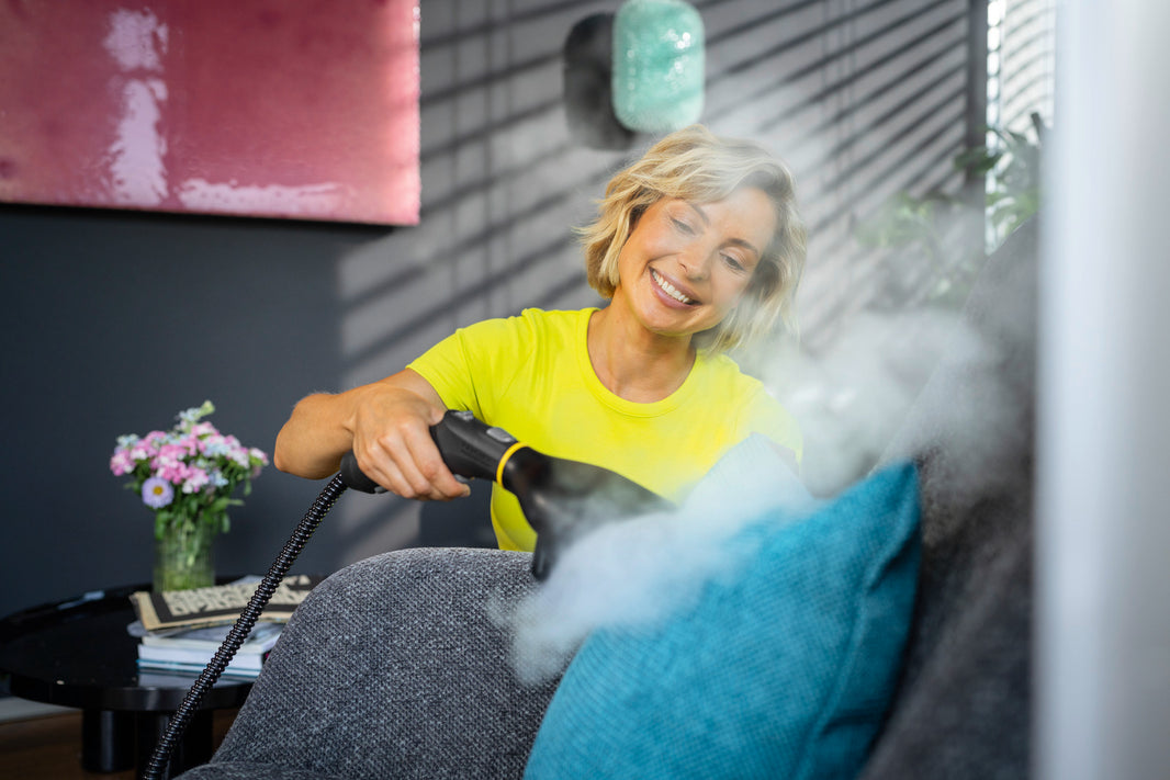 Karcher Garment Steamer image 1