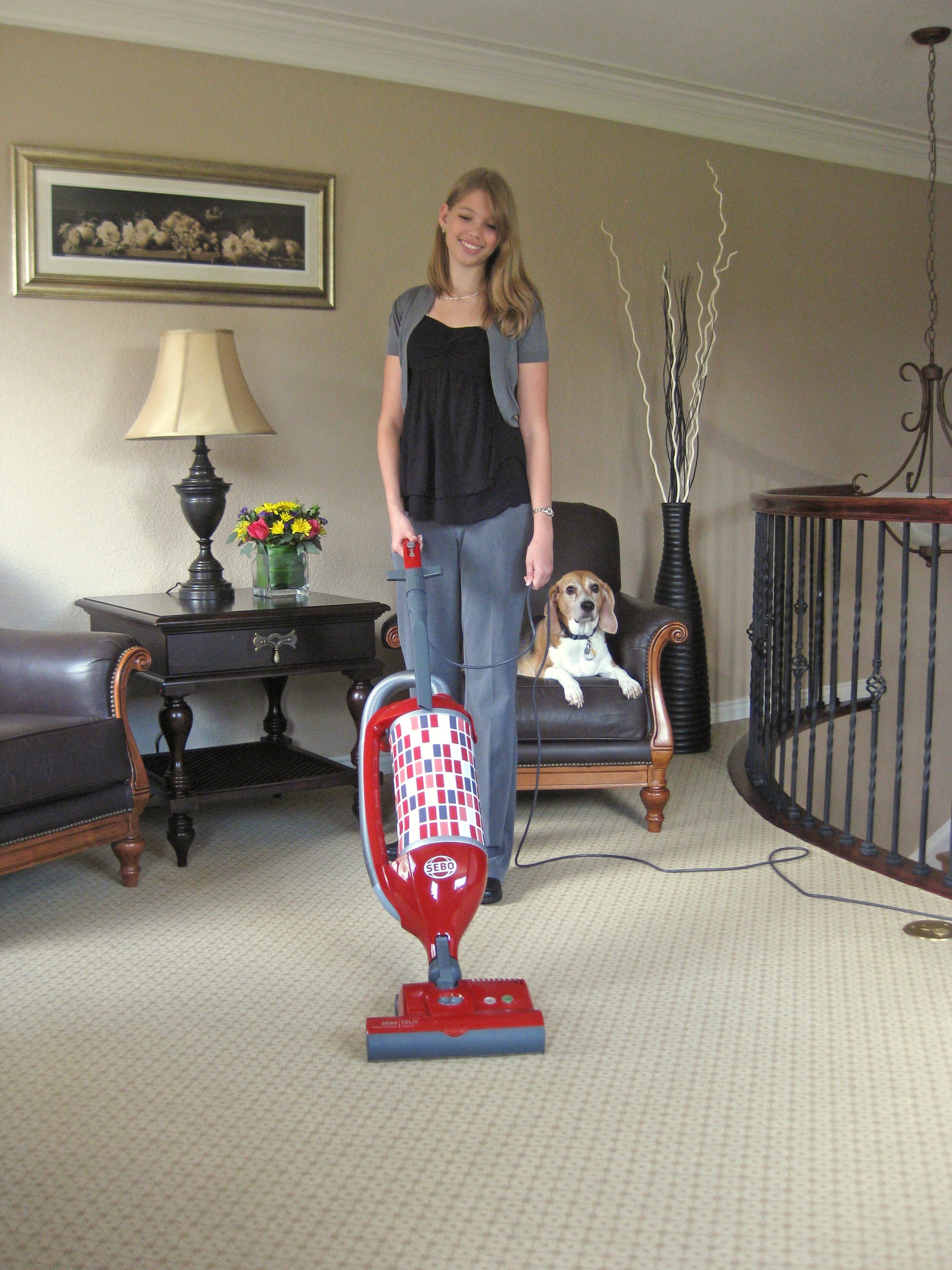 SEBO Felix Upright Vacuum Cleaner image 12