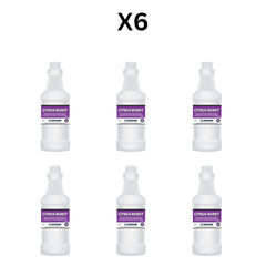 Esteam Citrus Burst (946 Ml) - Pack Of 6