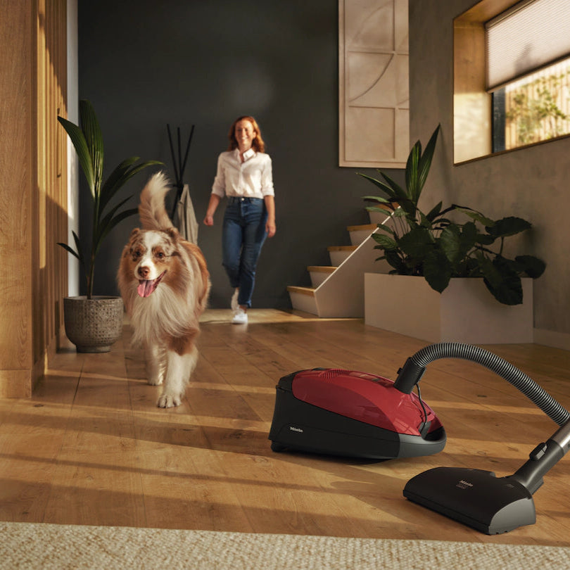 Miele Classic C1 Cat & Dog PowerLine Canister Vacuum