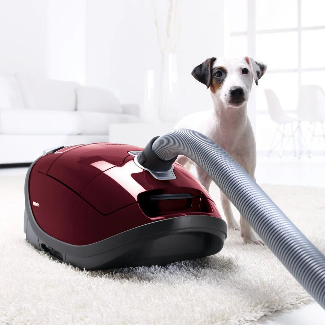 Miele Complete C3 Cat & Dog PowerLine Canister Vacuum