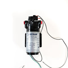 Esteam Diaphragm Pump 200 PSI