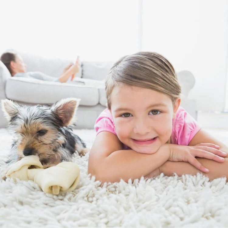 SEBO DUO Brush Machine